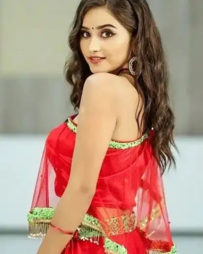 Call Girls Service Bellampalli